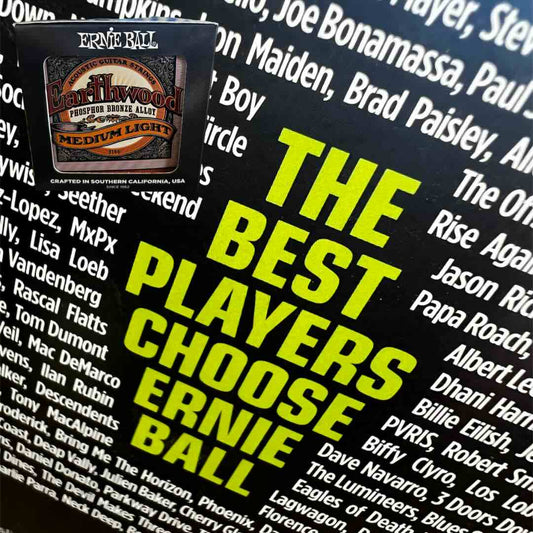 Ernie Ball - Encordado para guitarra acústica Earthwood Medium Light