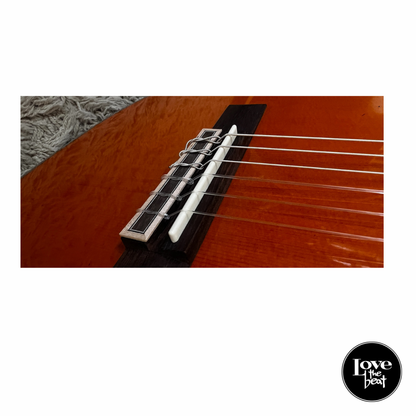 Vizcaya - Guitarra Clásica 4/4 Castilla León con Bolso Acolchado