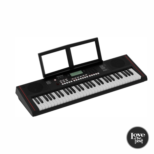Roland - Teclado Personal E-X10 Arranger