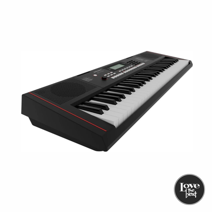 Roland - Teclado Personal E-X10 Arranger